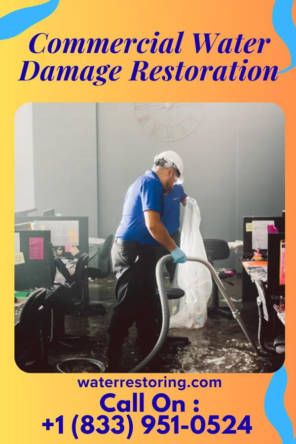 Commercial Water Damage Restoration in Goodmanville, CA